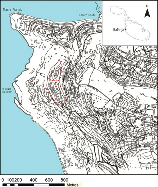 2 Contour map of the il-Qlejgha tal-Bahrija site on the west coast of Malta. Credit: Tanasi et al., Amino Acids (CC BY 4.0).