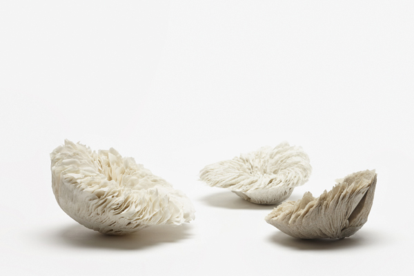 Untitled, 16 in. (40 cm) in length (installation), artist blend clay/glaze material, glass additions, fired to cone 8, 2014. Photo: Jeremy Dillon.