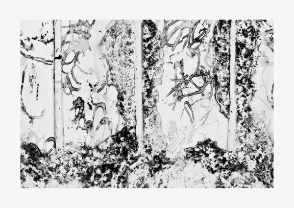 10 Grace Nickel’s Espalier 1–5, 28⅓ in. (72 cm) in width, Jingdezhen porcelain tile, laser marked image, 2015.