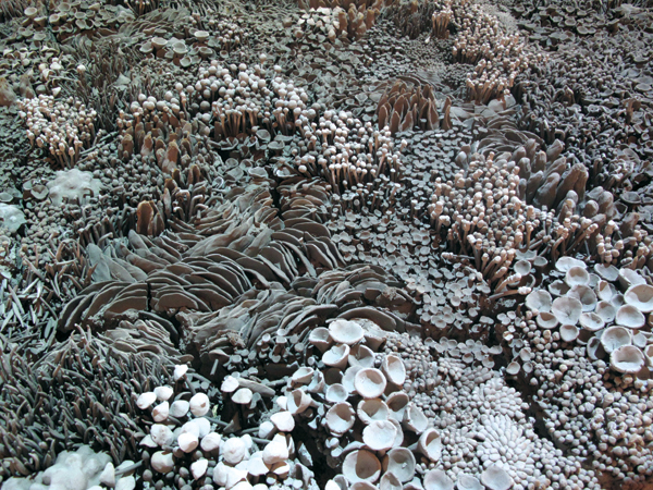 8 Rachel Eng’s Stay on the Path (detail), 8½ ft. (2.6 m) in diameter, unfired clay, video, 2013.