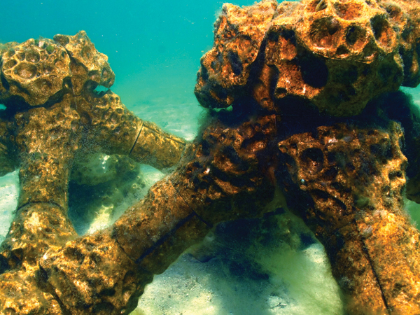 5 The ceramic structure with attached marine life shortly after being installed on the ocean floor. 