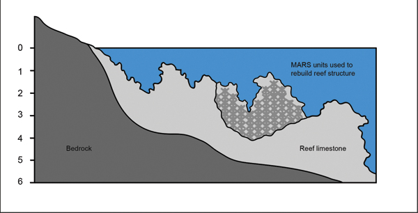 3 MARS can be incorporated into existing reefs to rebuild damaged areas. Photos: Courtesy of Alex Goad.