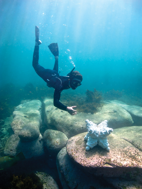 1 Modular Artificial Reef Structures (MARS) can be installed by divers without the need for heavy equipment.