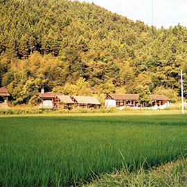 A Summer Residency in China by Yonina Blech-Hermoni
