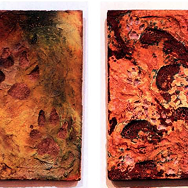 Animal Tracks by Anne Macaire