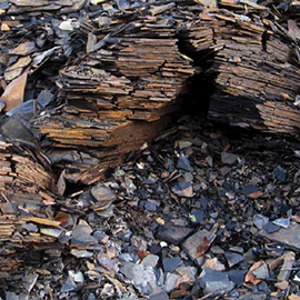 Attempting to Learn from a Rock: The Work of Jennie Shanker by Andrea Marquis