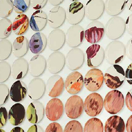 All Those Plates: Molly Hatch's Physic Garden by Sarah Werthan Buttenweiser