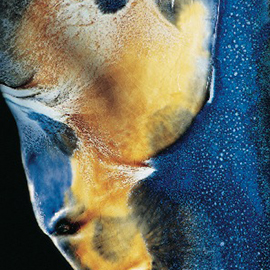 The Oxidation Reverberation by Jayne Shatz