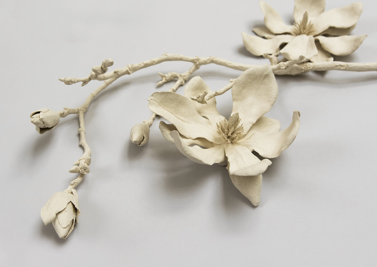 Spring Flower Specimen Series (detail), 2022.