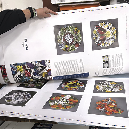 Self-Publishing an Exhibition Catalog by Farraday Newsome and Tiffany A. Fairall article thumbnail