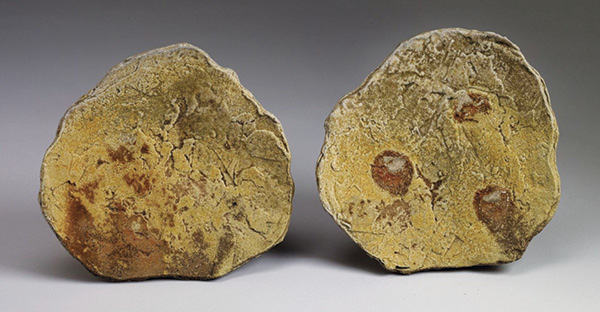 1 Meg Beaudoin’s Sushi Duo 2, 8 in. (20 cm) in width, handbuilt stoneware, fired on shells in an anagama-style kiln to cone 11–12, 2022.