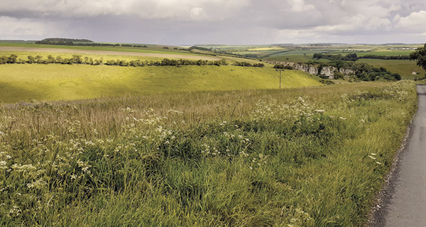 4 Summer in the Yorkshire Wolds.