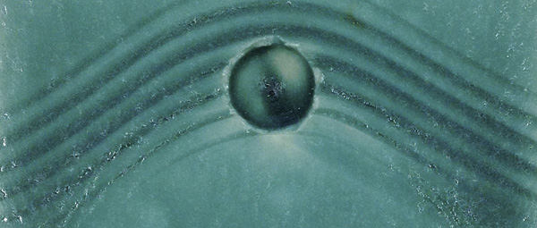 3 Forest Sincoff Gard’s Matte Clear–Satin Sea Foam.