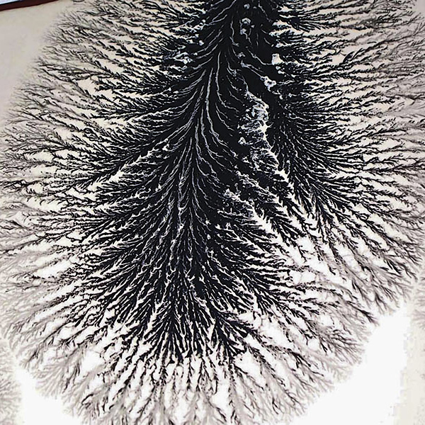 5 Close-up view of a black tree pattern. Note the dense to light migration of black slip formed during the application process.