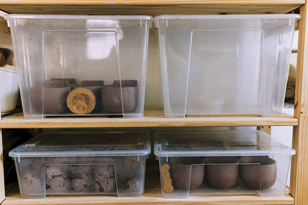 Jasmine Fitzwilliam's damp boxes.