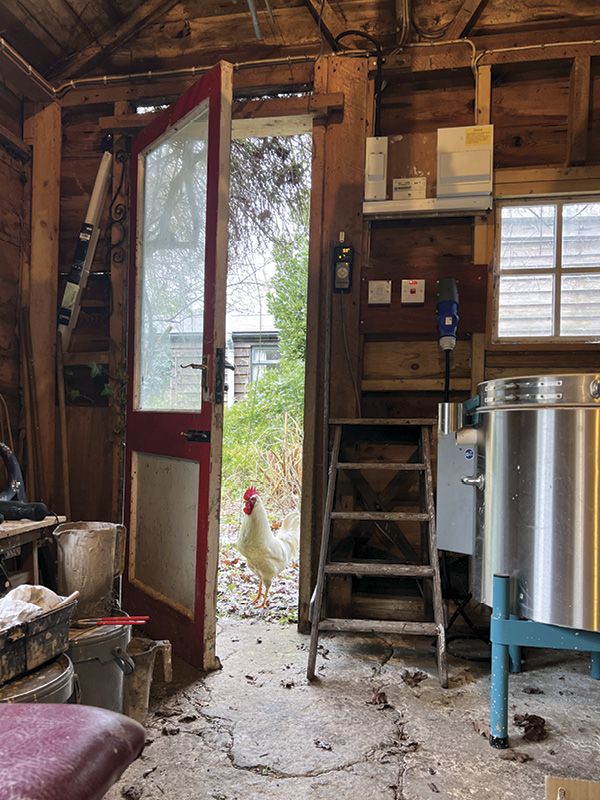 6 Without heat or air conditioning in her space an open door lets fresh air, and sometimes visitors like Caruso the cockerel, in.