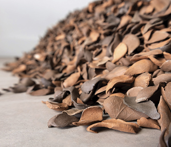 1 Magdolene Dykstra’s Remnants (detail), variable dimensions, terra cotta, 2022.