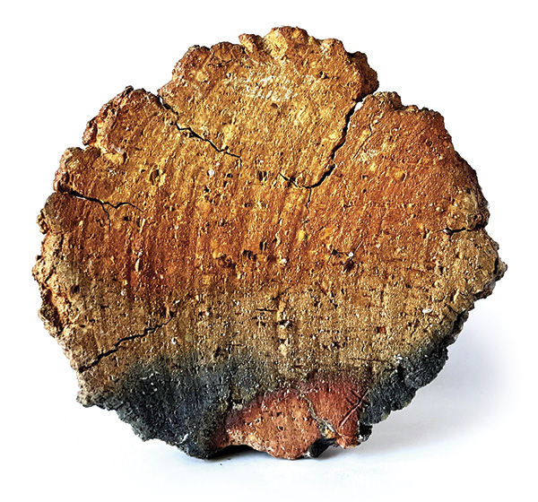7 Hollis Engley’s Firebox Platter, 10 in. (25.4 cm) in height, anagama wood fired, 2023.