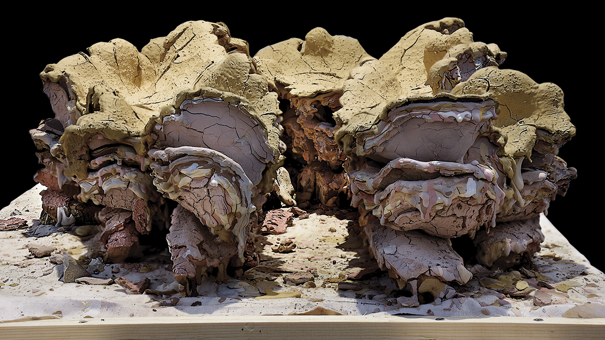 1 Katrine Køster Holst’s Detail Field, 4 ft. 9 in. (1.5 m) in width, clay, glaze, 2019.