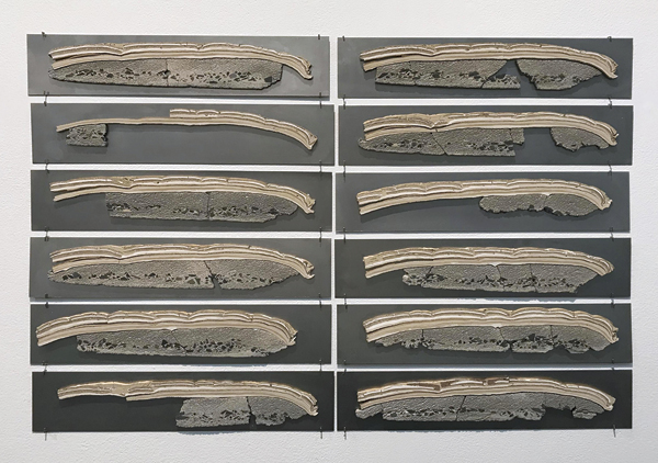 3 Katrine Køster Holst’s Cross-section, 19½ in. (50 cm) in length (each), 12 cross sections of a ceramic plate mounted on aluminum, 2018–2019. Photo: Trond Lossius.