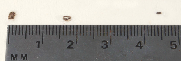 2 Fireclay contamination, containing particles that will cause problems in the fired ware.