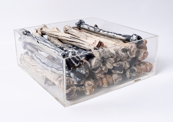 4 Ulla Viotti’s Boxed Bones, 10 in. (25 cm) in width, ceramic bones, acrylic box, 1985. Collection of the American Museum of Ceramic Art; gift of Igal and Diane Silber.