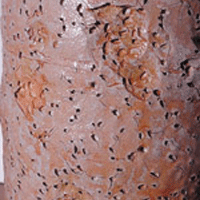Supply Room: Adding to Clay by Bill Jones