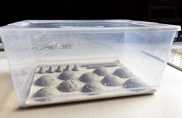Carol Harris’ tabletop damp box.