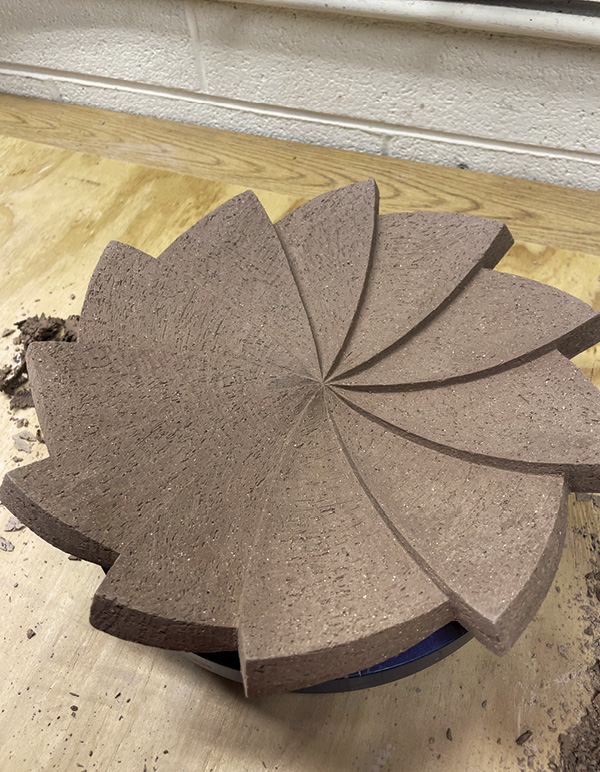 14 Slowly dry the plate under alternating cotton fabric and plastic sheets.