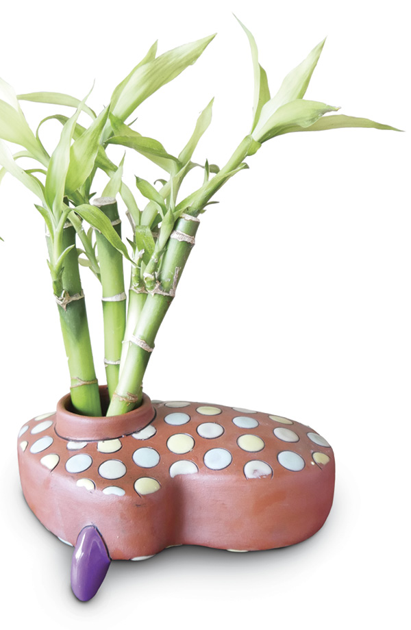 Taylor Mezo's Plant Propagator.