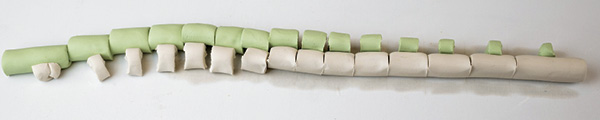 3 Pair the longest segment of the colored clay with the shortest segment of the white porcelain. Continue matching the segments in reverse order.