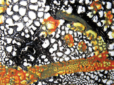 Some glazes make interesting surfaces all by themselves, but no glaze is a silver bullet. Firing a piece multiple times with different surface treatments can bring individuality and complexity to your work.