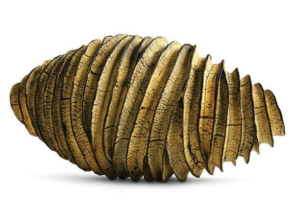 1 Judit Varga’s Yellow Cocoon, 14½ in. (37 cm) in length, 2015.
