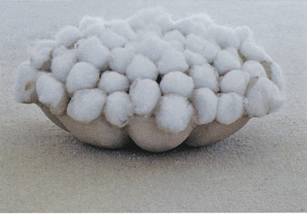 11 Complete form with cotton fibers attached, ready to be bisque-fired upside down.