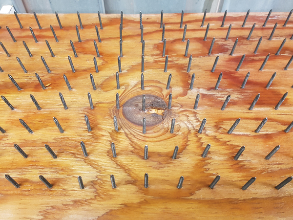 1 Close-up of Toni Losey’s bed-of-nails spray support, 24 in. (61 cm) in length, ¾ in. (2 cm) plywood and drywall screws, 2017.