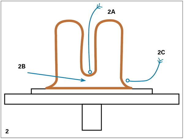 2 As you begin to open the flat-topped cylinder, try to make the diameter at the rim measure twice the height, with the foot about 1⁄3 the diameter of the rim.