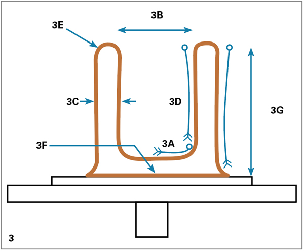 3 It’s now necessary to change its shape to an open cylinder that’s slightly higher than the intended bowl, with enough clay in the base from which a foot ring can be turned.