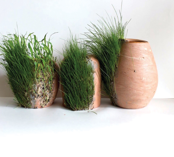 2 Pedro Ramirez’s Festuca, ceramic, clay, grass, 2015.