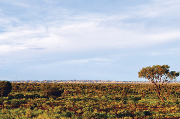 3 MacDonnell Ranges in Hermannsburg, Australia. Photo: Jason McCarthy, National Museum of Australia.