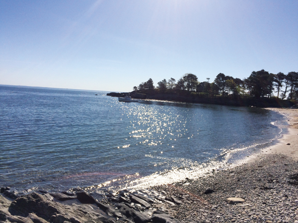 2 Low tide reveals a dark gray clay deposit in Zeb’s Cove in Cape Elizabeth, Maine.