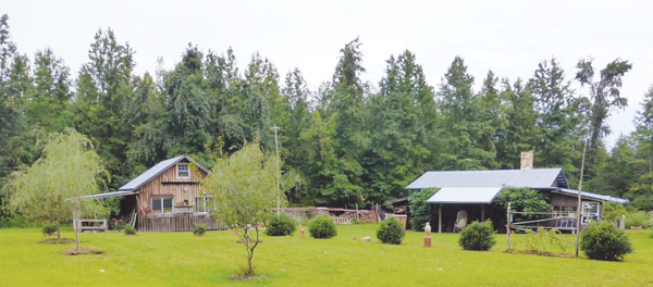 6 Dan Finnegan’s studio (left) and kiln shed (right). 