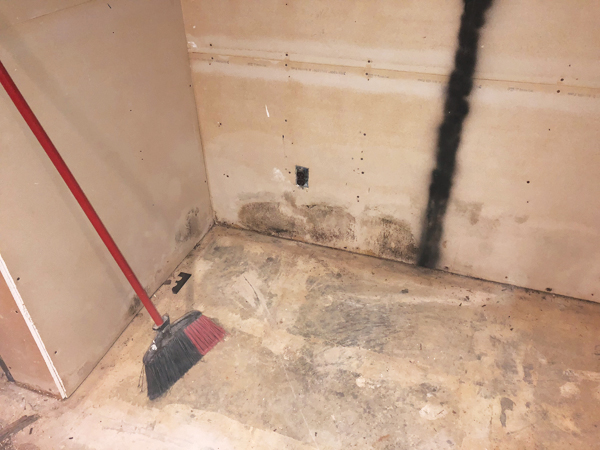 4 Damaged and moldy drywall found while gutting the home studio after the flooding.