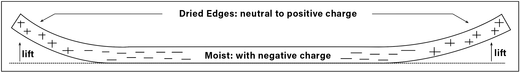 3 Slab cross section. Plasticity comes from a negative charge in the clay/water film. As the clay dries, the ionic charge reverts back to its original neutral or slightly positive charge, creating tension.