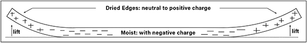 Slab cross section. Plasticity comes from a negative charge in the clay/water film. As the clay dries, the ionic charge reverts back to its original neutral or slightly positive charge, creating tension.