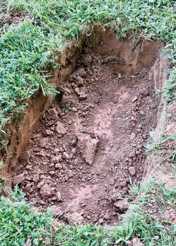 1 Natural deposits of clay can be found anywhere and are most often red, yellow, or brown.