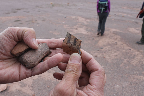 6 Closeup view of the surface decoration on one of the Negro Pulido pottery shards. 
