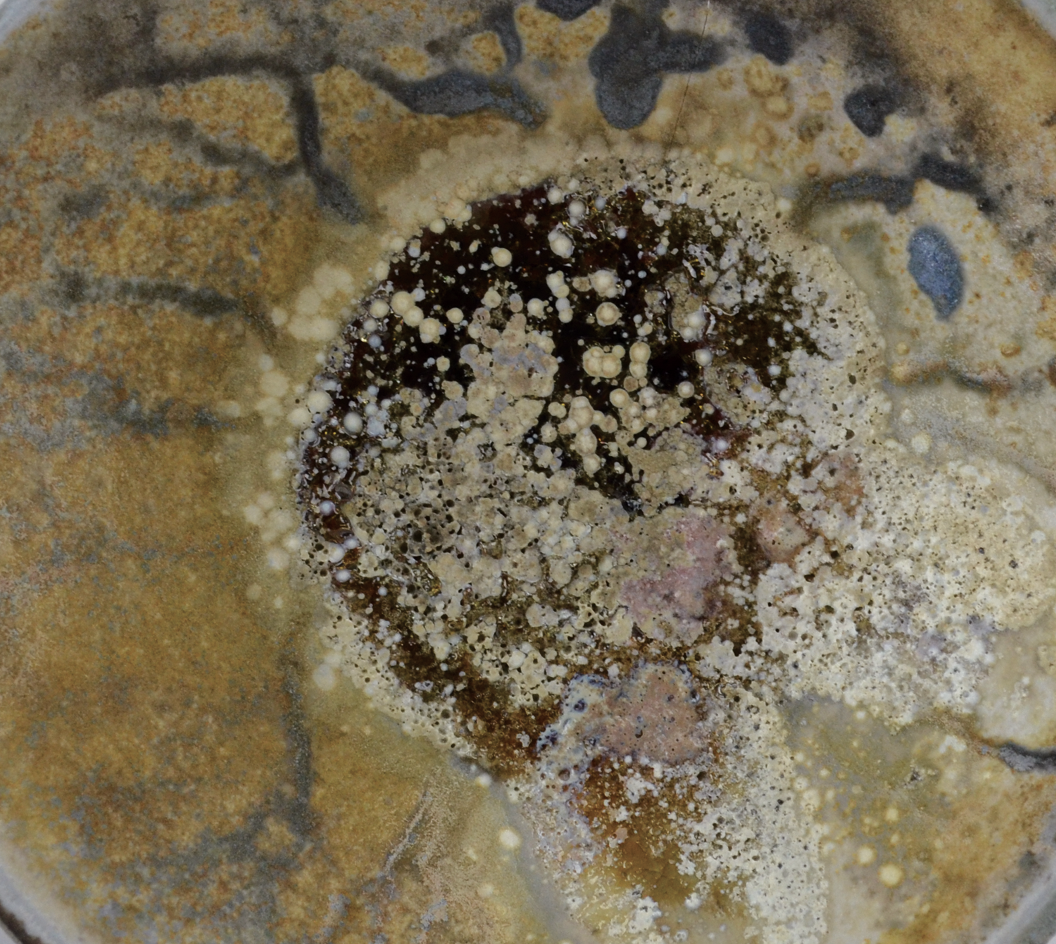 1 Porcelain bowl with Pale Blue V.2 terra sigillata with pooled, melted wood ash.