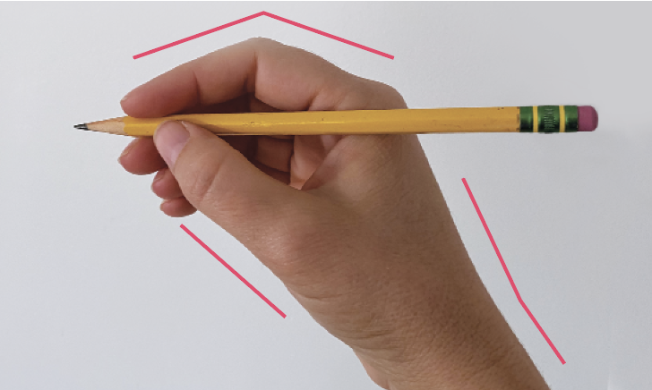 S4 This image shows neutral hand and wrist posture. The fingers curve in toward the palm. The tip of the thumb is close to the tip of the index finger. The wrist has a slight curve away from the body. 