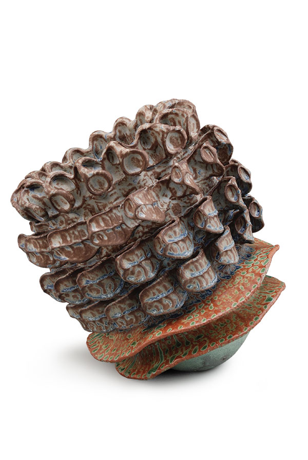 9 Double Cuttle, 12 in. (30 cm) in height, stoneware, glaze, 2011.