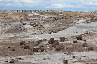 13–15 Ceramic Genealogy and inspiration. 13 Petrified Forest National Park.